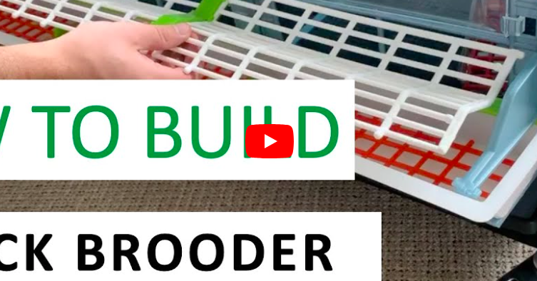 Snímka obrazovky 2026-03-02 o 19.48.38